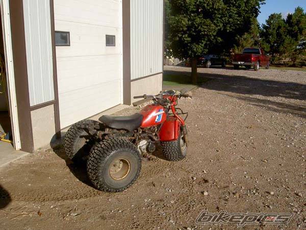 Photo 371951