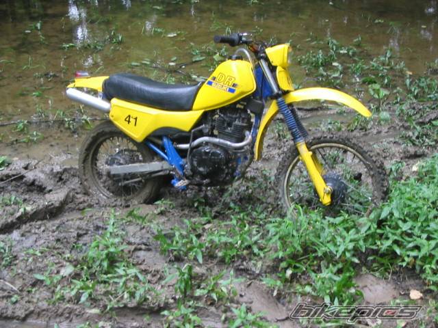 Photo 372053