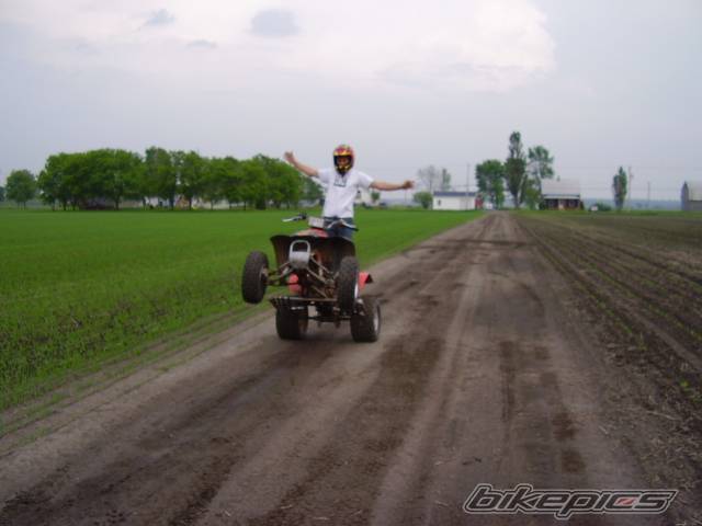 Photo 372069