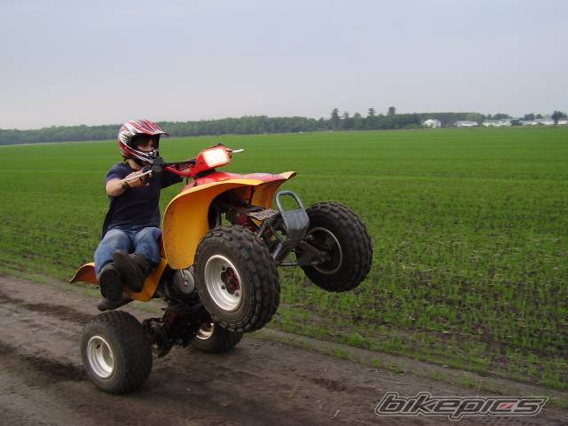 Photo 372070