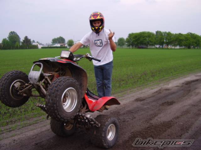 Photo 372071