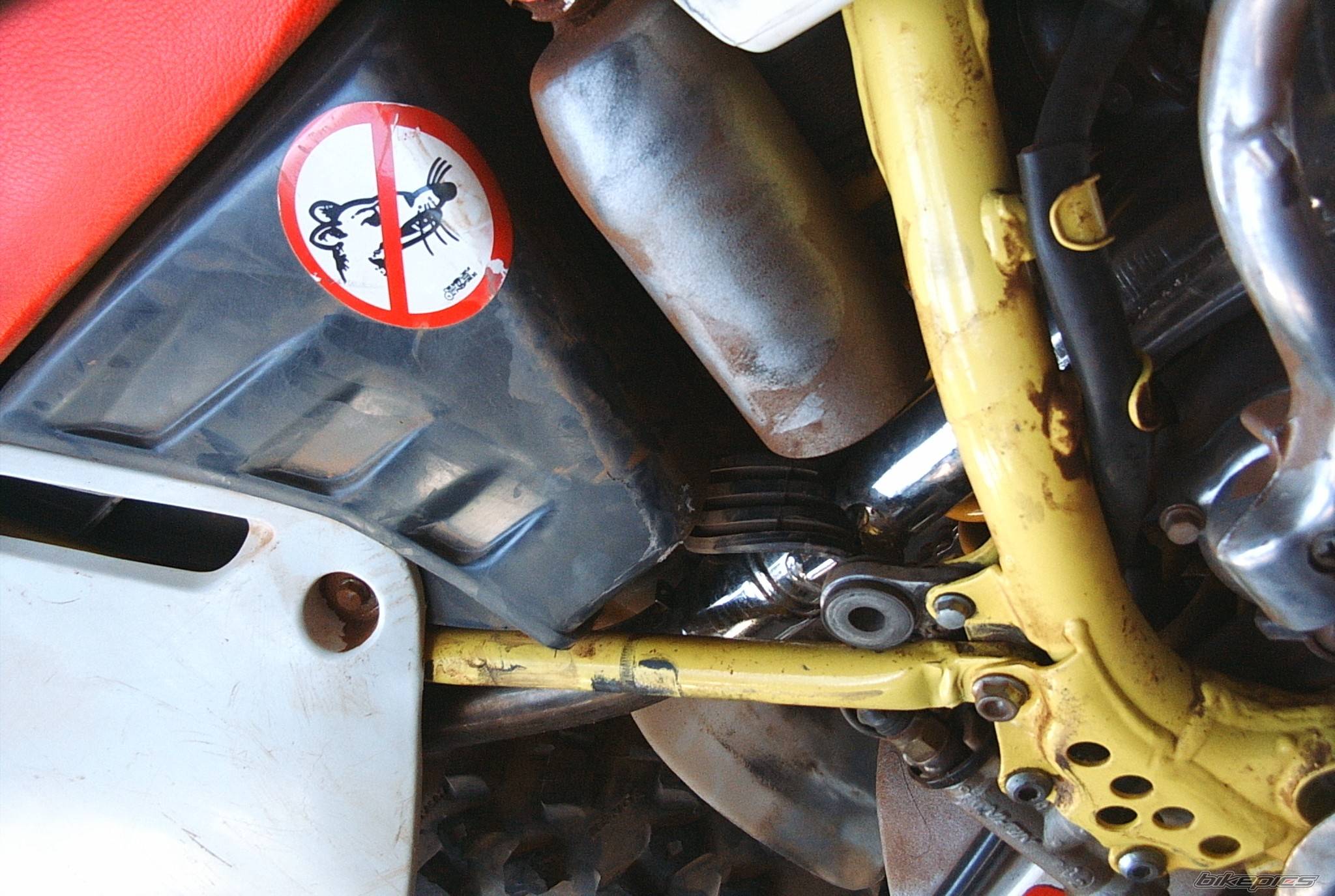 Bike Photo 372104