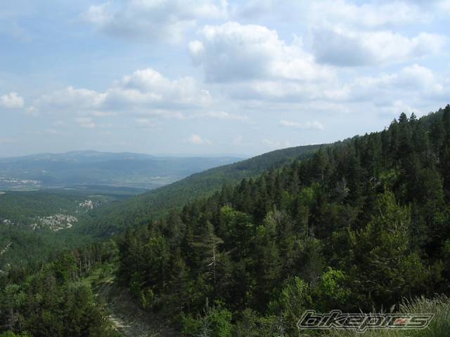 Photo 372166