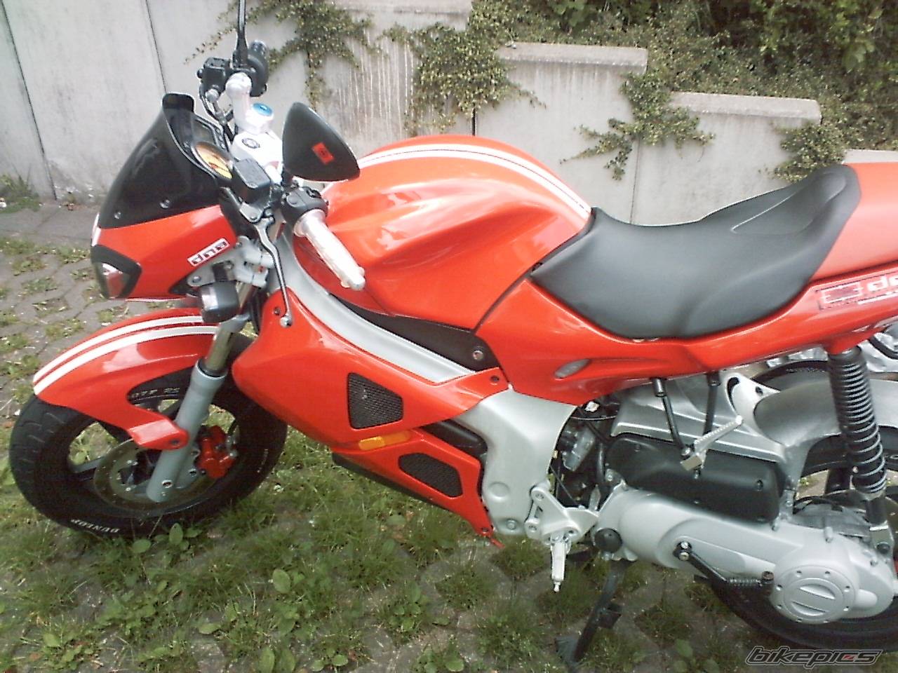 Photo 372276