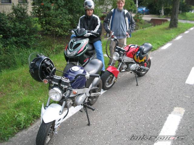 Photo 372311