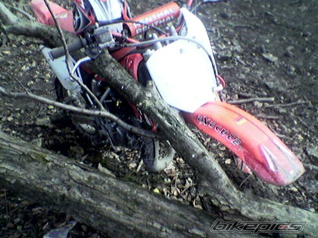 Bike Photo 372388