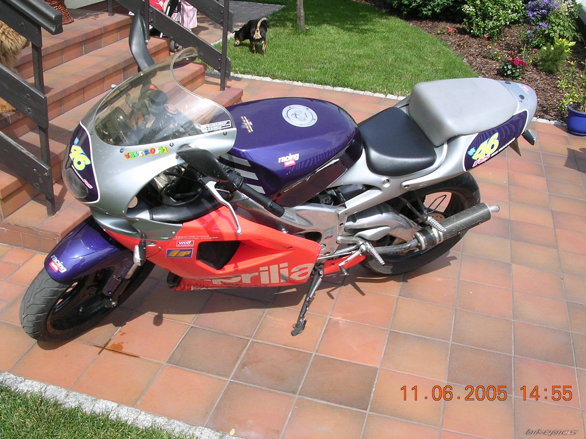 Photo 372543