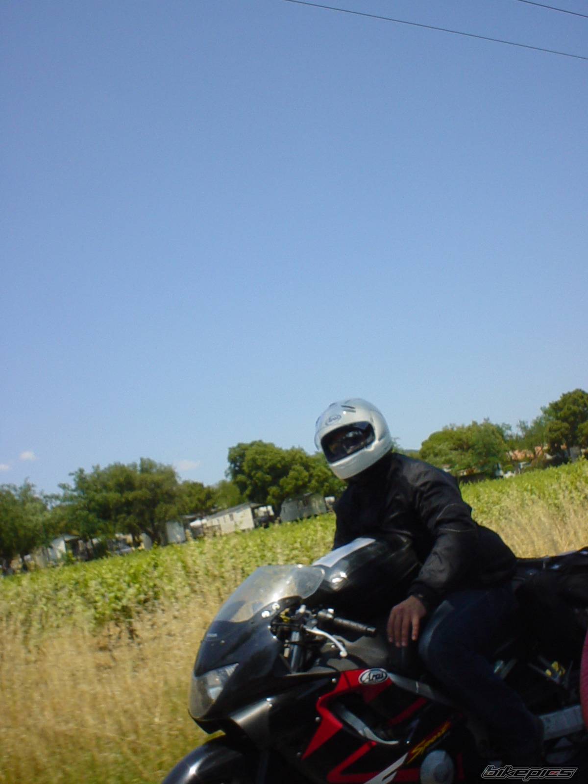 Photo 372555