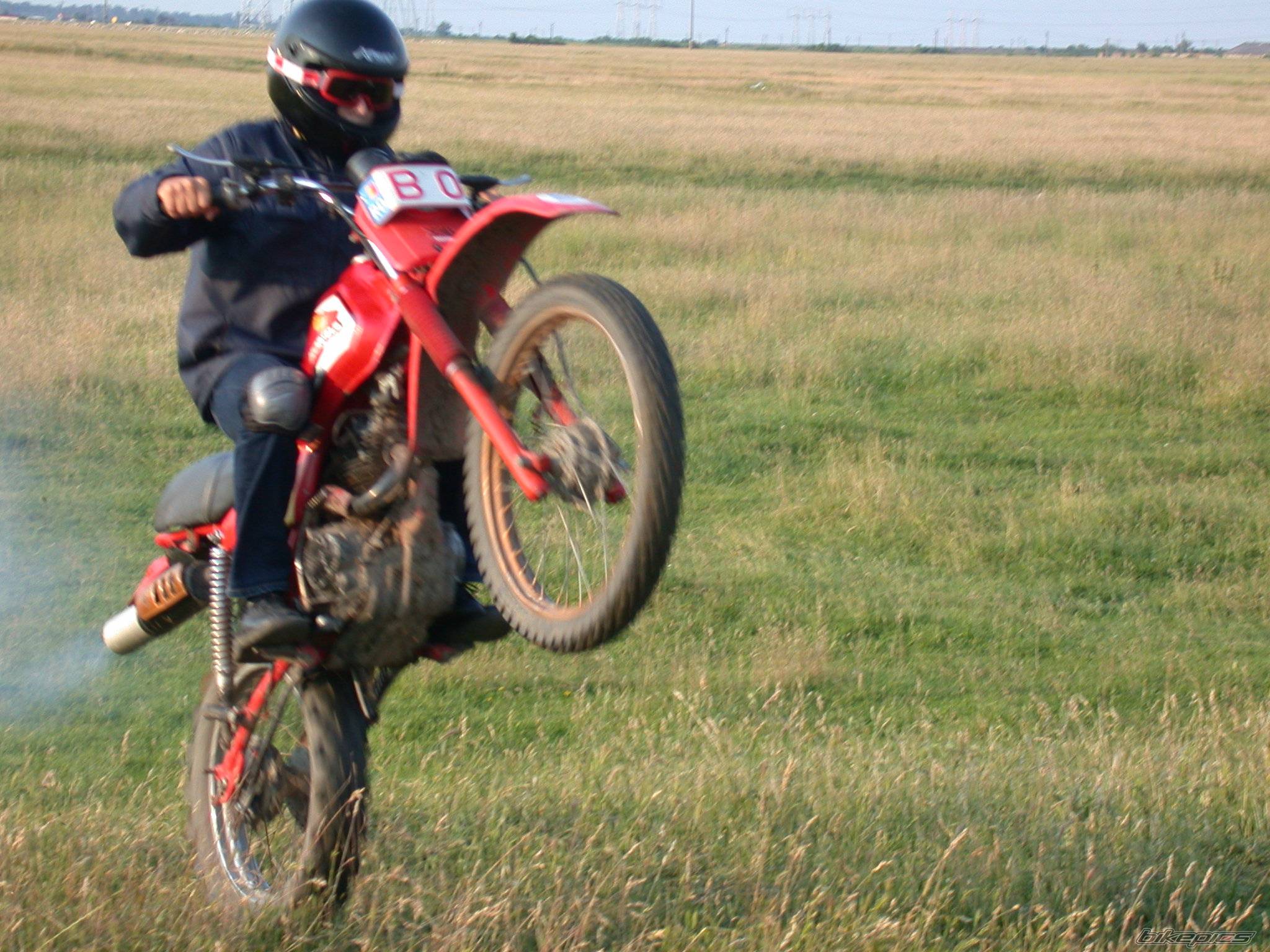 Bike Photo 372647