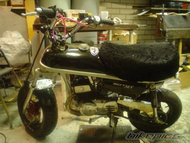 Photo 372714