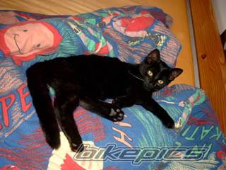 Photo 37276