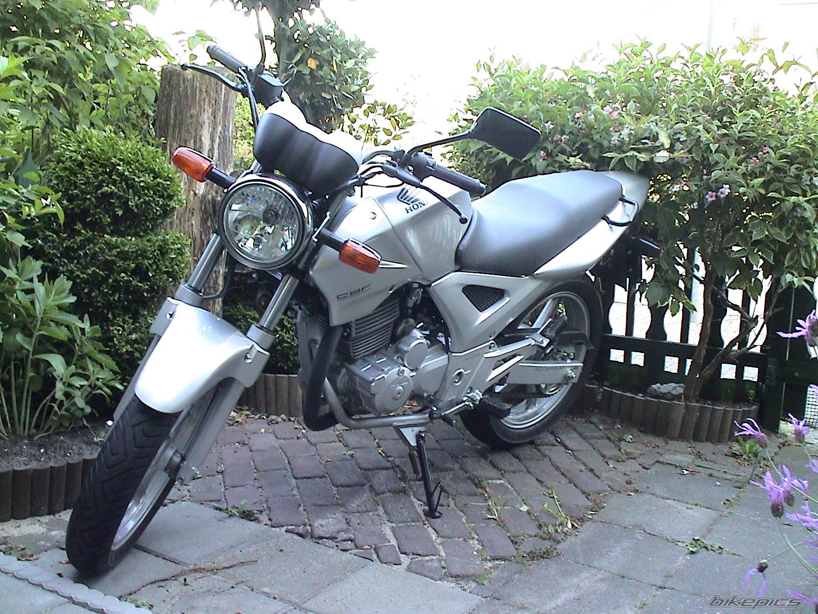 Photo 372779