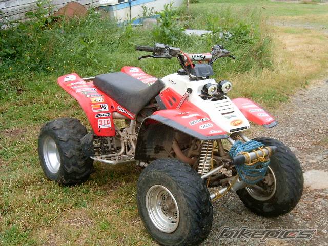 Photo 372887