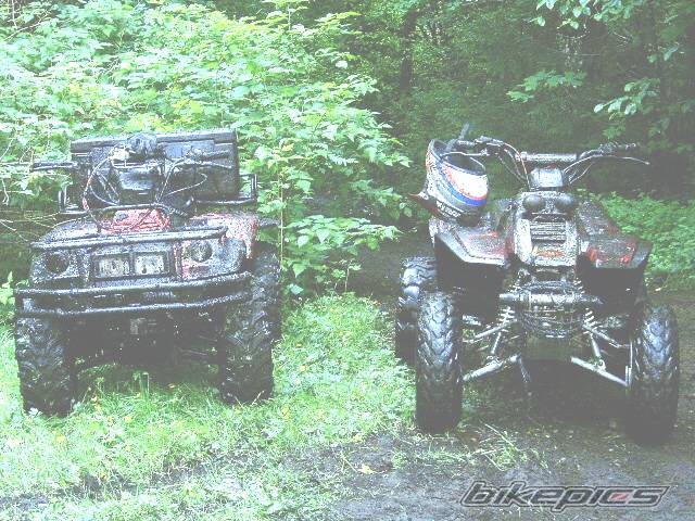 Photo 372896