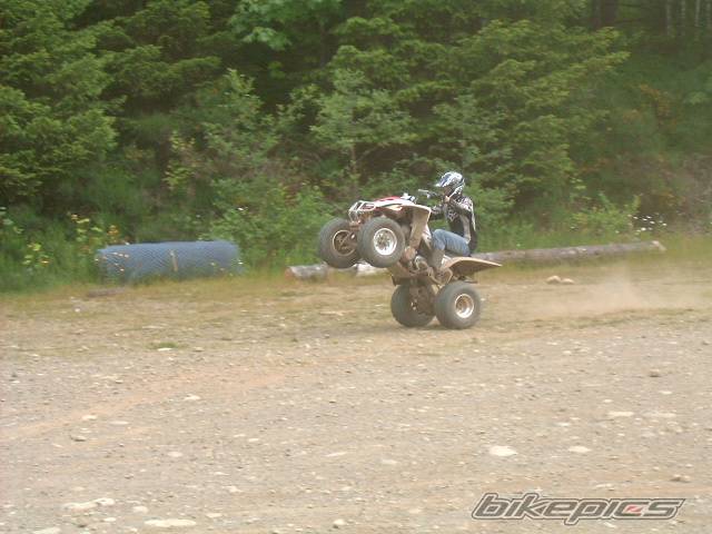 Photo 372902