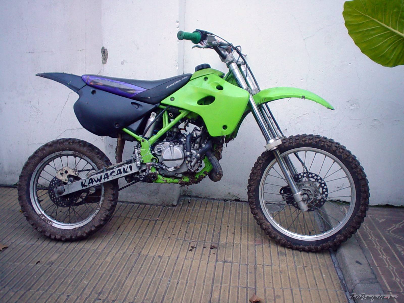 Bike Photo 372948