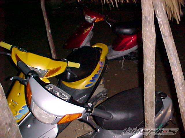 Photo 37297