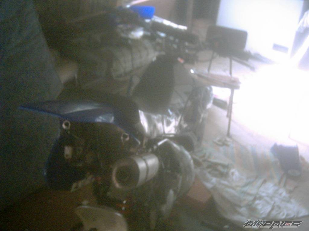 Photo 372981