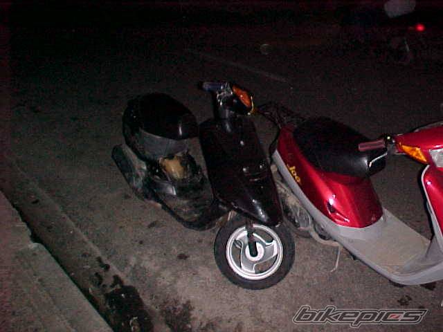 Photo 37304