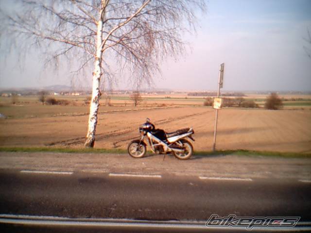 Photo 373099