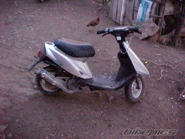 Photo 37310