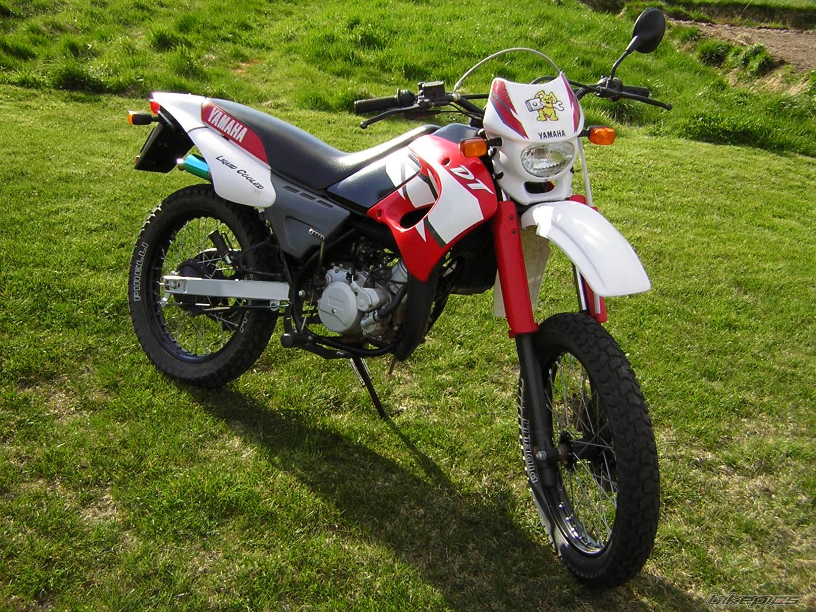 Photo 373272