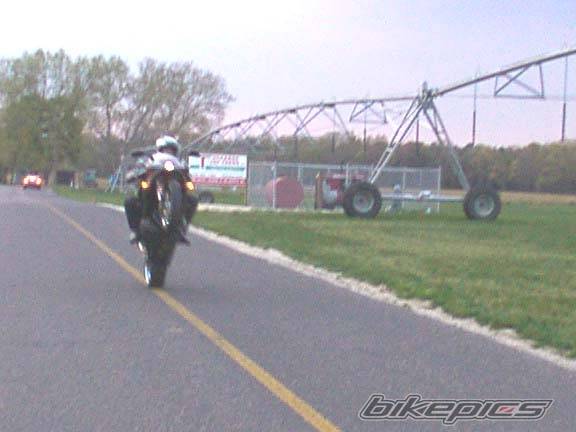 Photo 373280