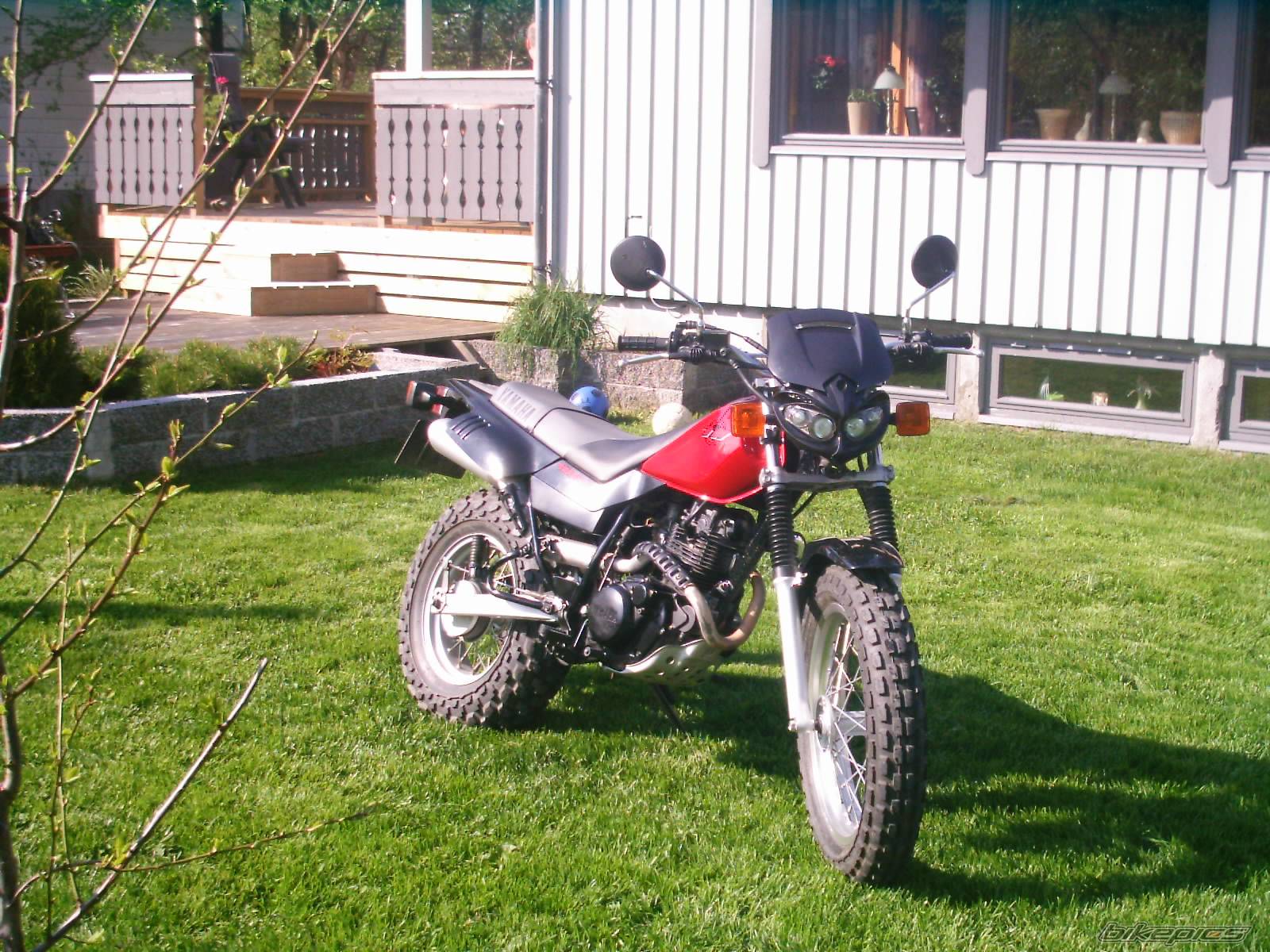 Photo 373574