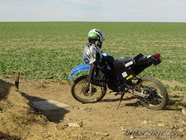 Photo 373653