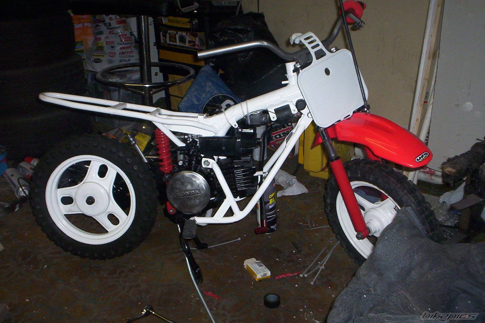 Photo 373728