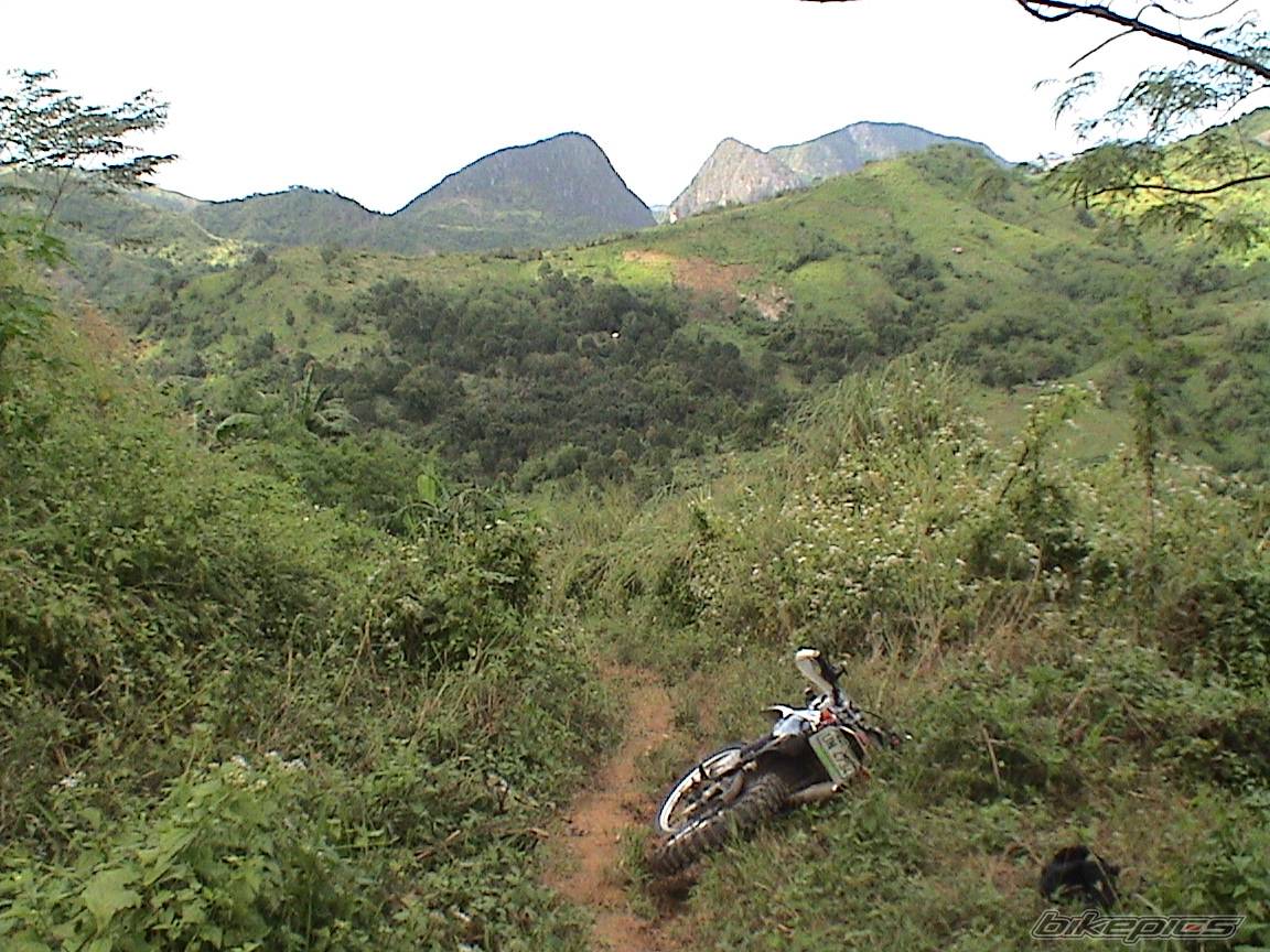 Photo 373737