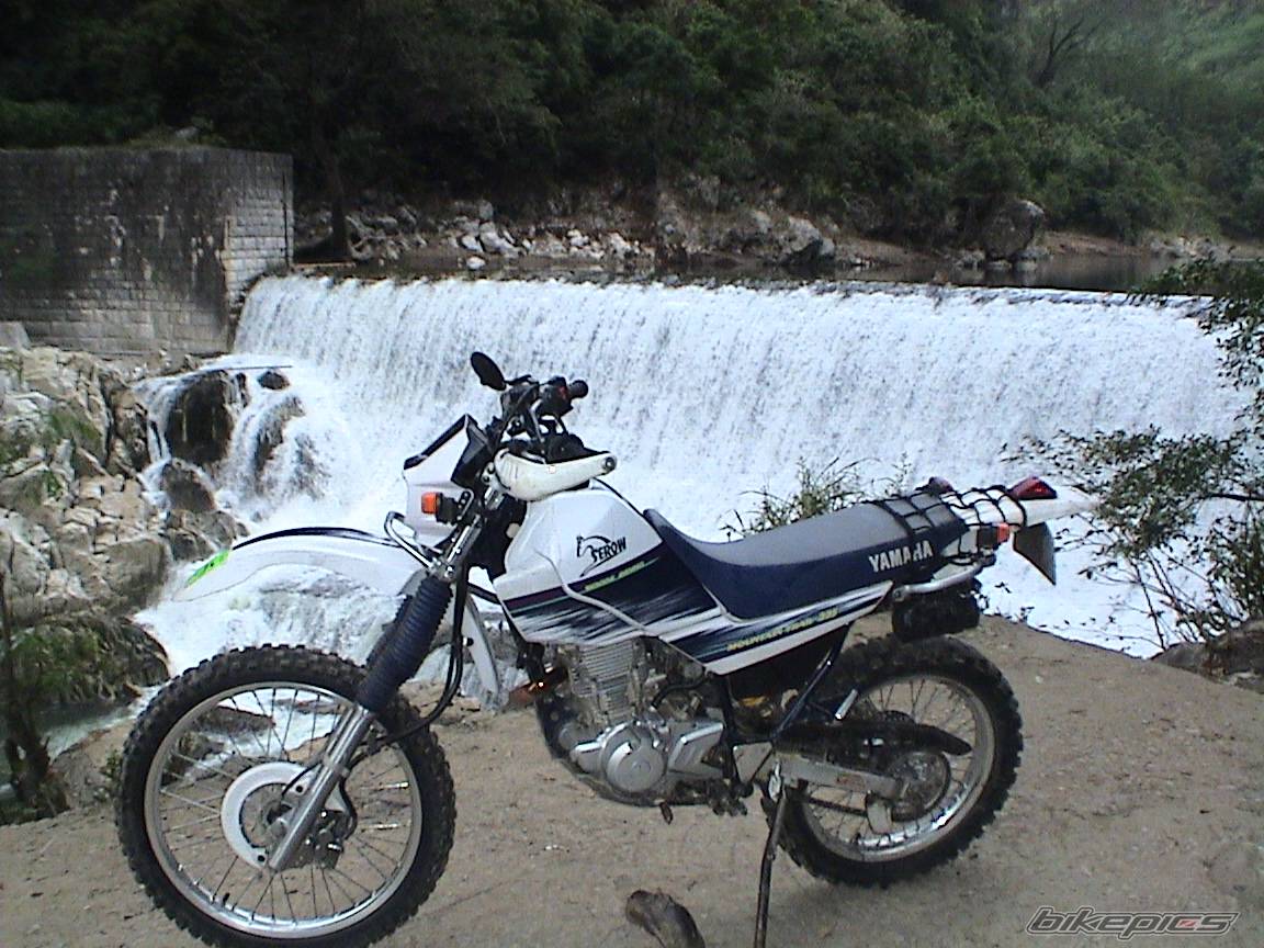 Photo 373747