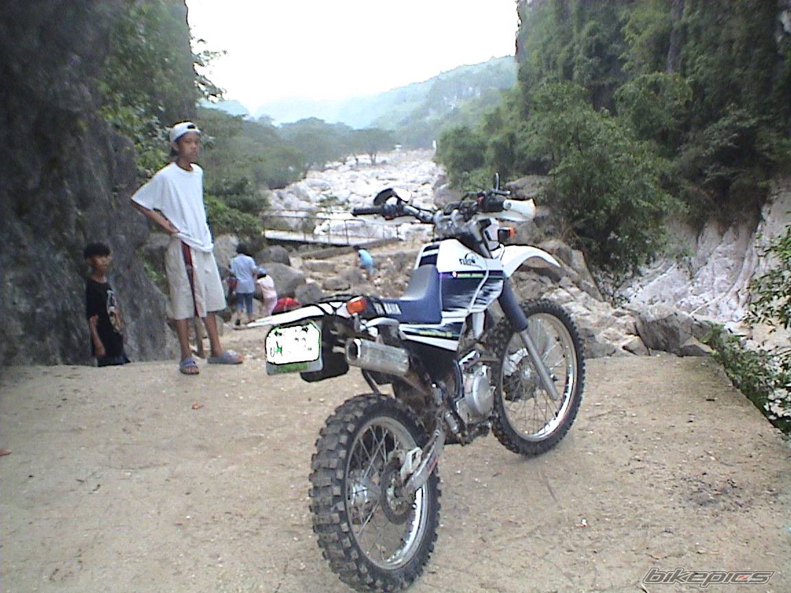 Photo 373749