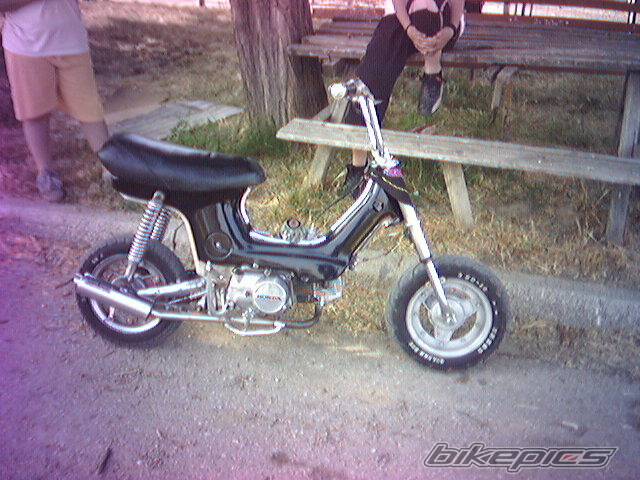 Photo 373784