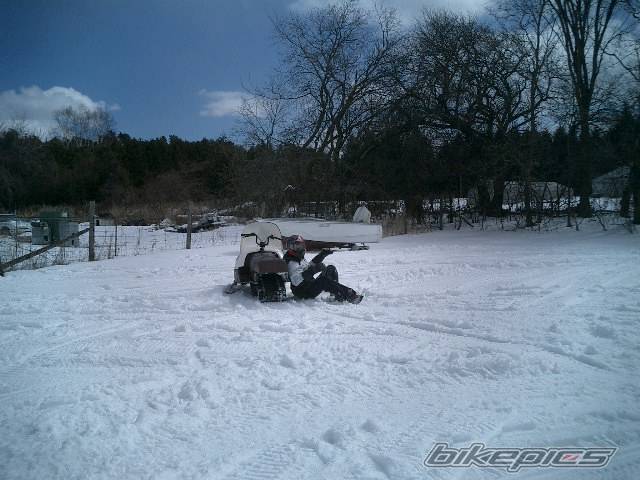 Photo 373865