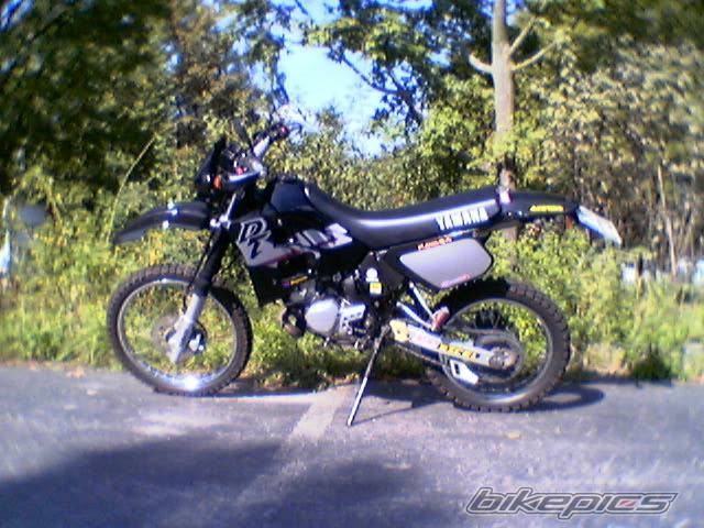 Bike Photo 37401