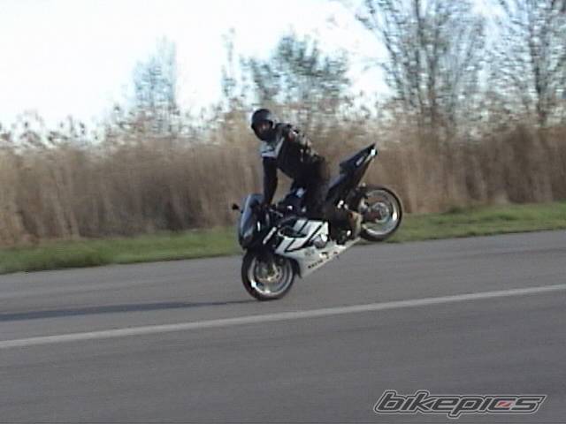 Photo 374131