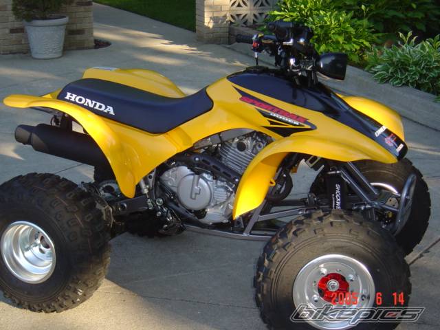 Photo 374294