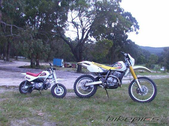 Photo 37443