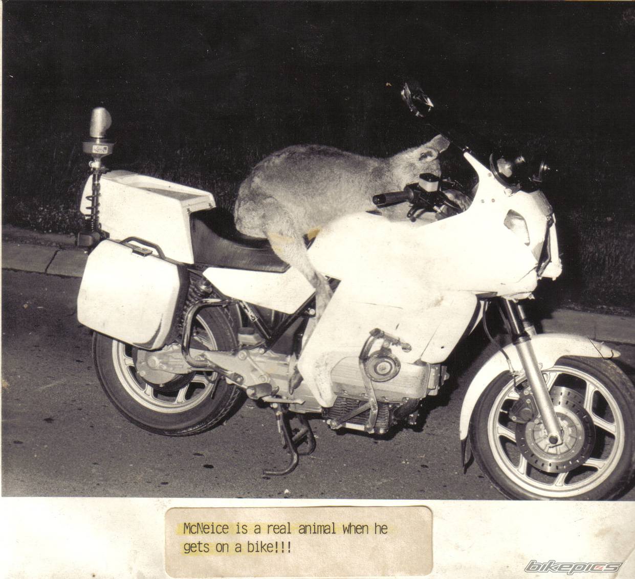Bike Photo 374465