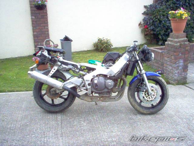 Bike Photo 374481