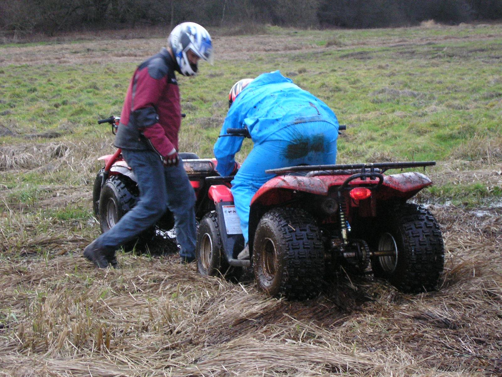 Bike Photo 374496