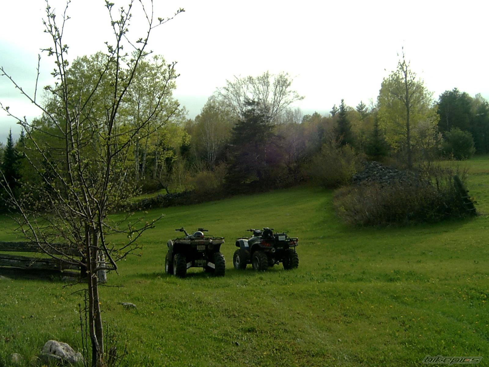 Photo 374641