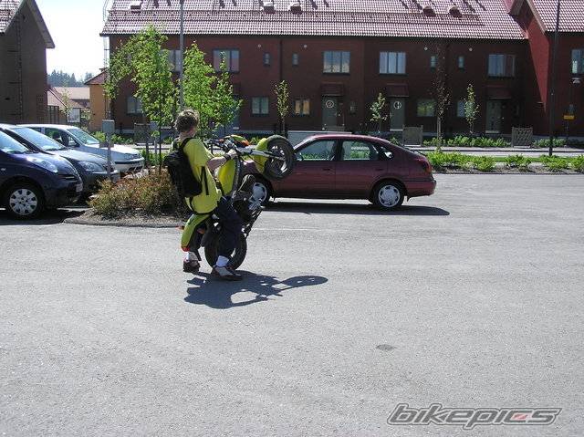 Photo 374691