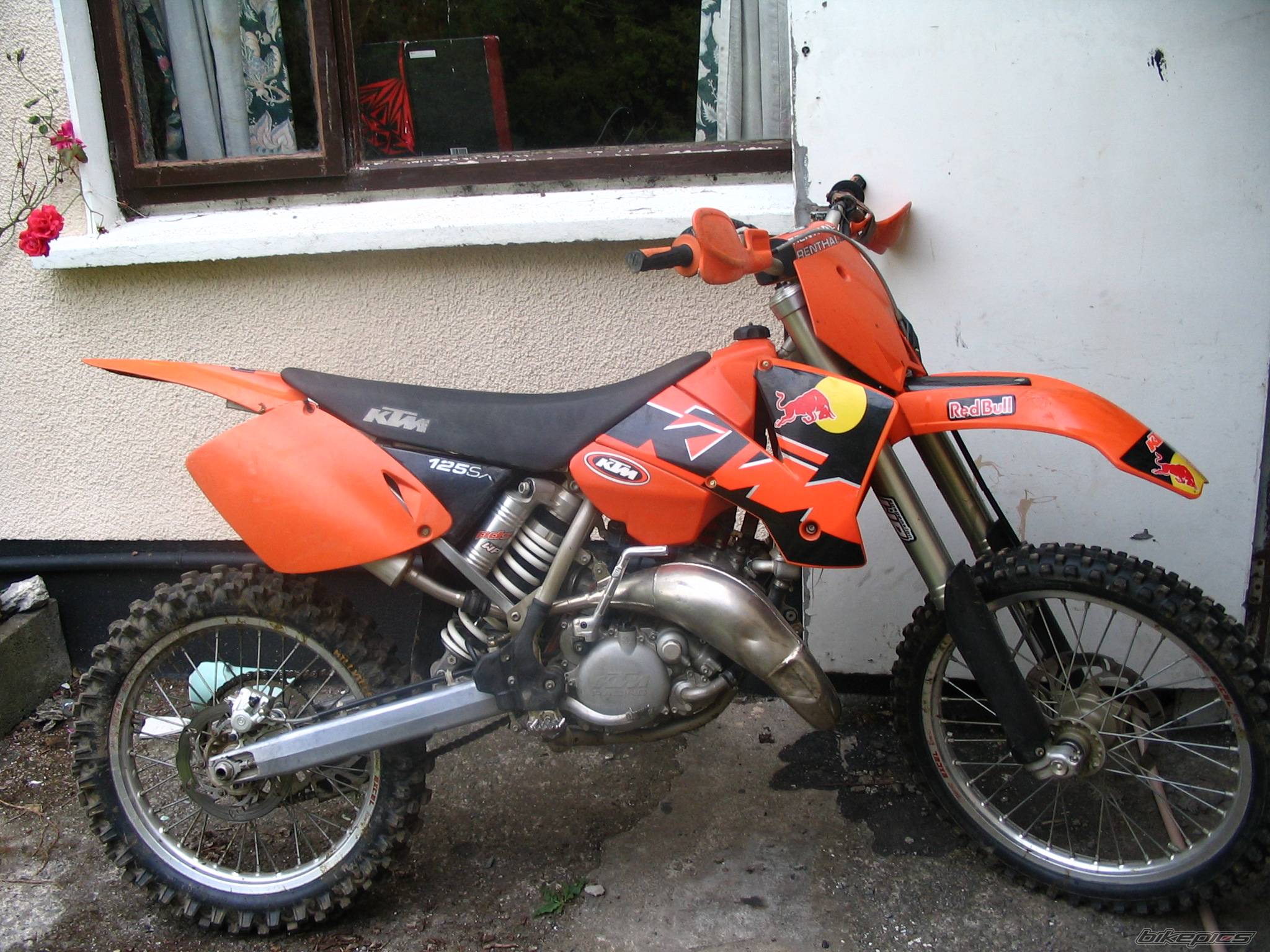Photo 374742