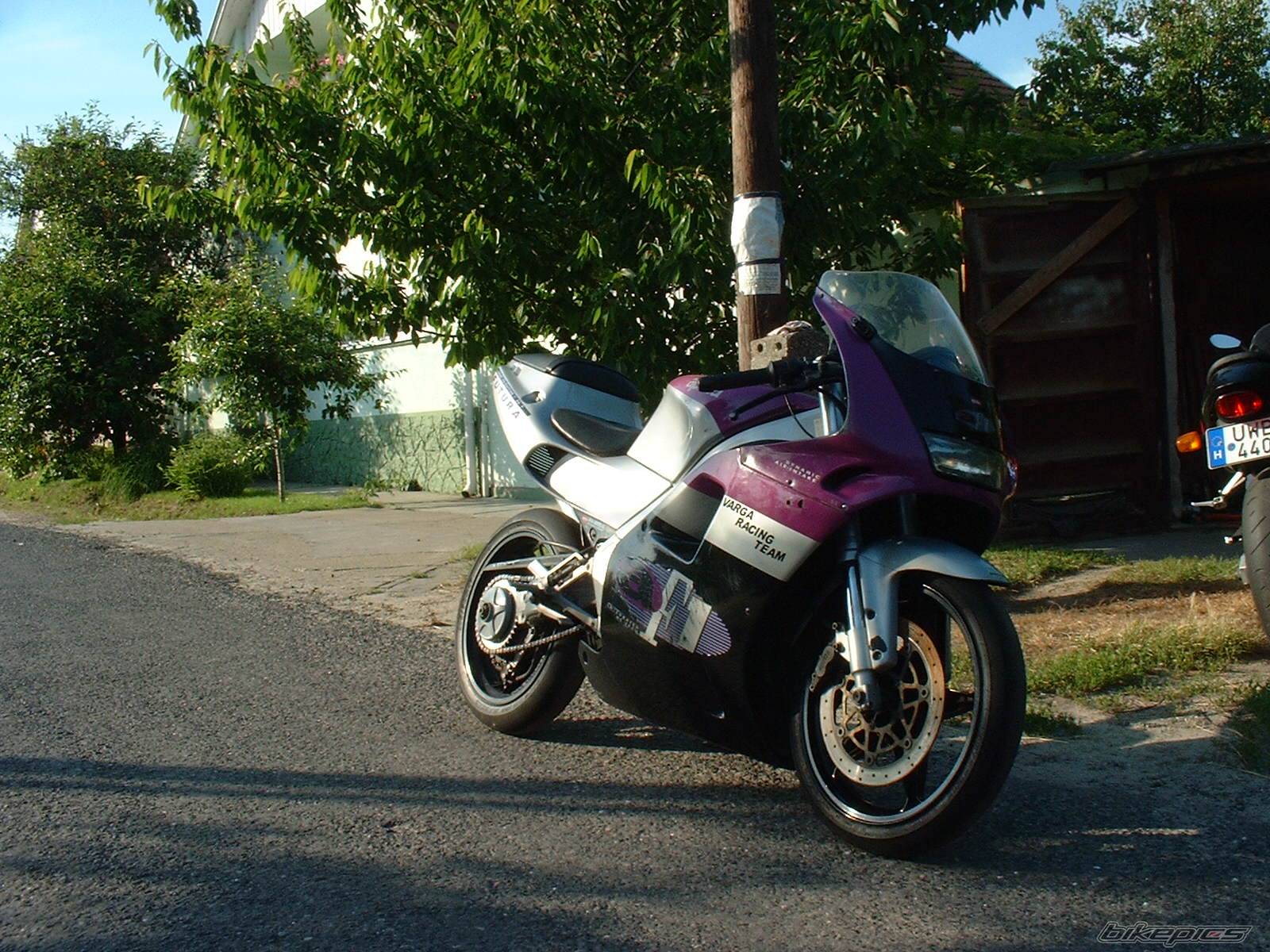 Photo 374749