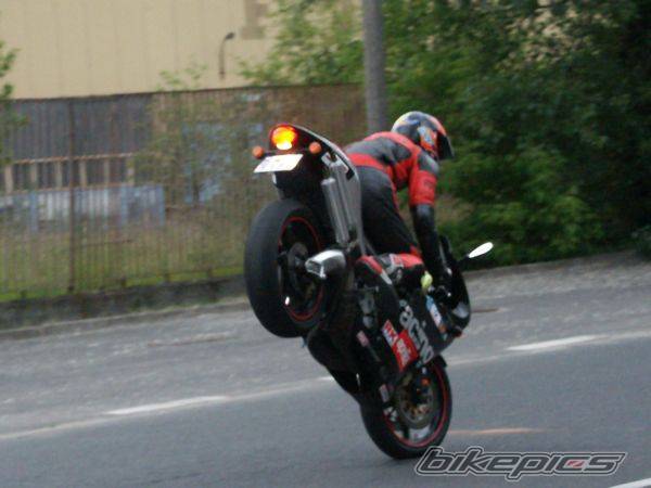 Photo 374779