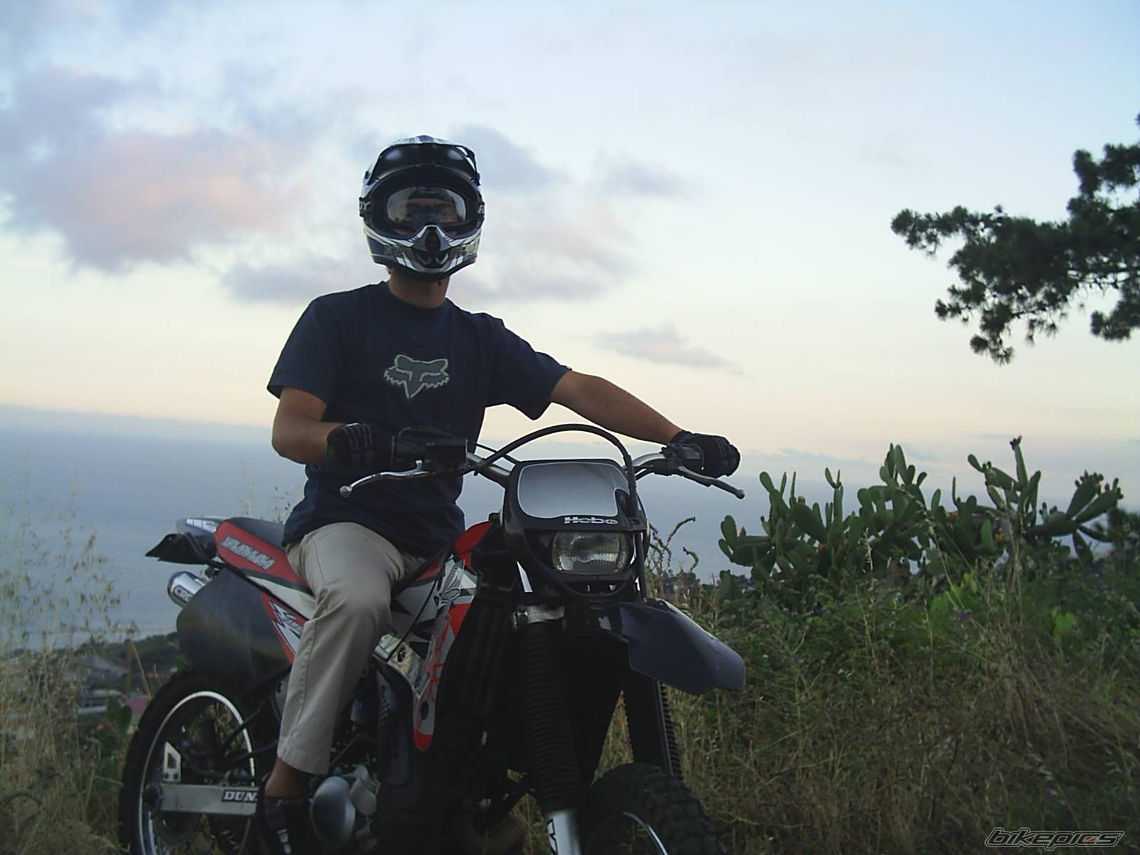Bike Photo 374788