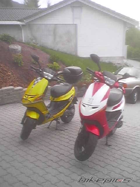 Photo 374824