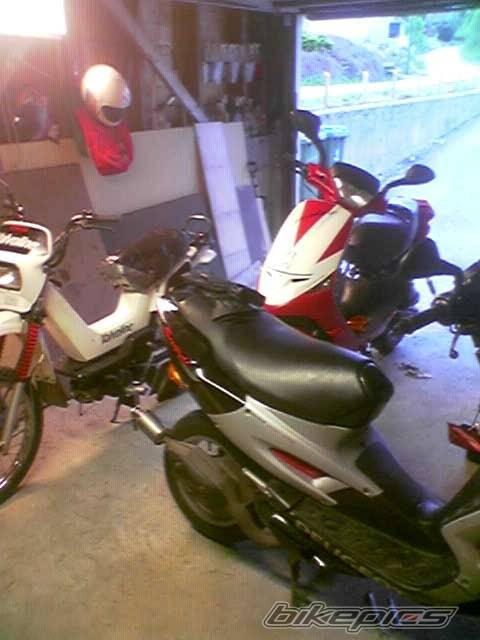 Photo 374829
